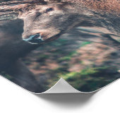 大きな〔雄ジカの〕枝角を持つ大きな茶色の鹿 ポスター (角)