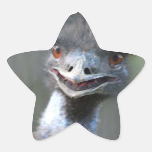 大きなEmuスタンプ 星シール (正面)