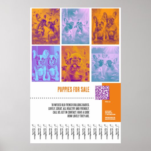 大きフランスのなポスター販売のためのブルドッグパピー ポスター (正面)
