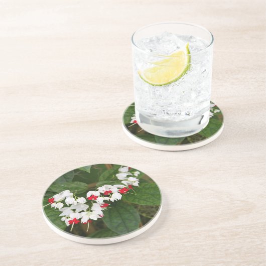 大げさに同情する人のつる植物の砂岩飲み物のコースター コースター (側面)