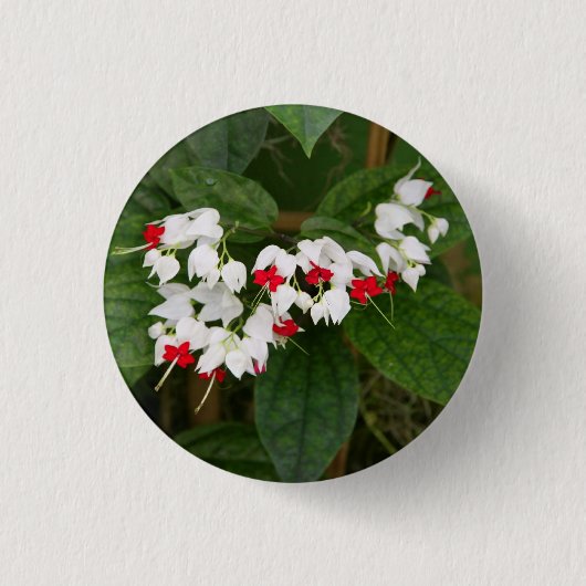 大げさに同情する人のつる植物ボタン 缶バッジ (正面)