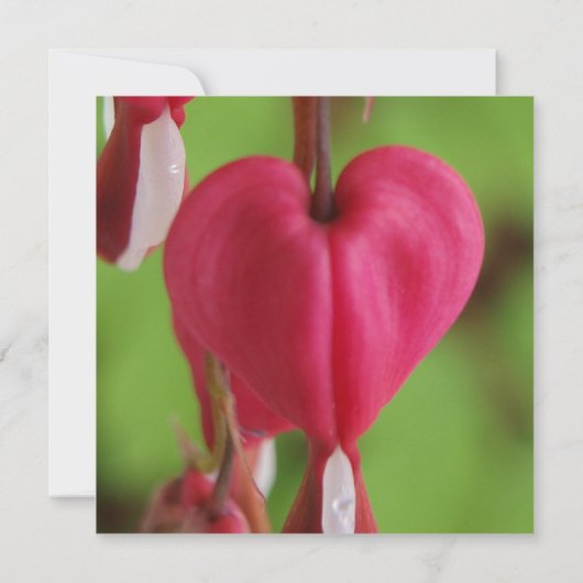 大げさに同情する人の結婚式招待状 招待状 (裏面)