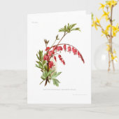 大げさに同情する人(Dicentraのspectablis) カード (黄色い花)