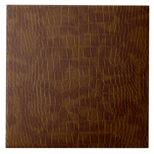 大アリゲータワニ陶磁器タイル タイル (正面)