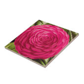 大カメリアブロッサム、明るい赤紫色ピンク タイル (側面)