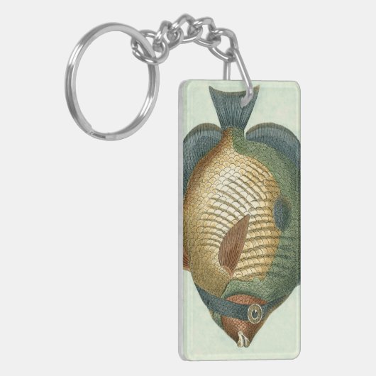 大カラフル魚 キーホルダー (正面左)