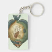 大カラフル魚 キーホルダー (裏面)