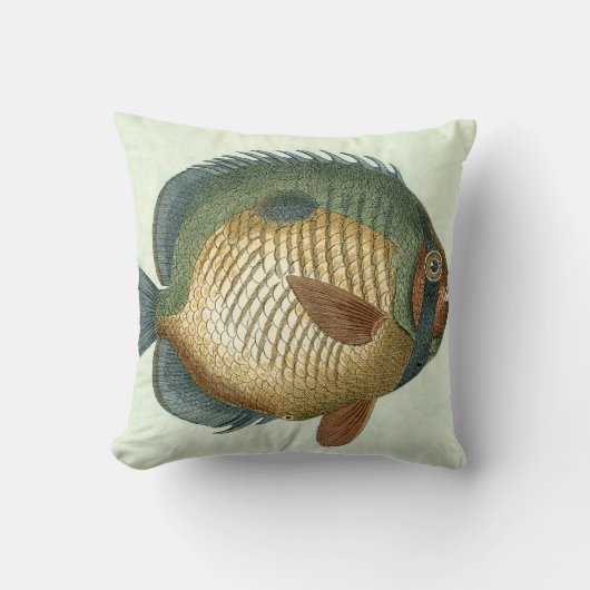 大カラフル魚 クッション (正面)