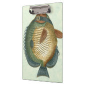 大カラフル魚 クリップボード (左)