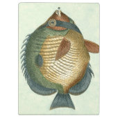 大カラフル魚 クリップボード (裏面)