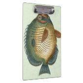 大カラフル魚 クリップボード (右)