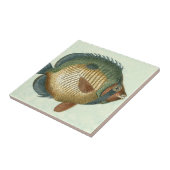 大カラフル魚 タイル (側面)