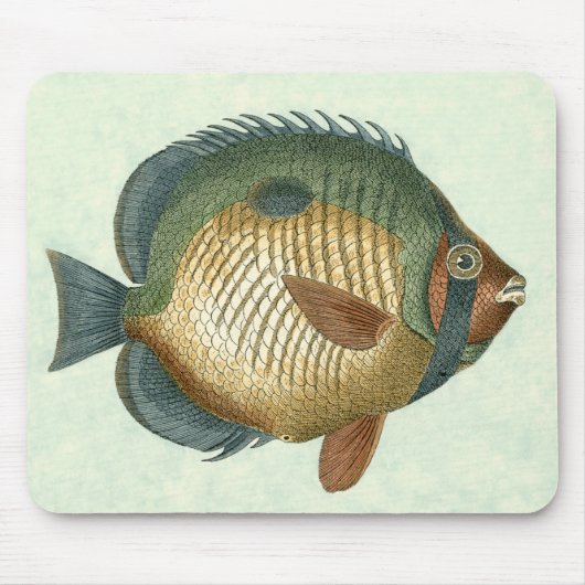 大カラフル魚 マウスパッド (正面)