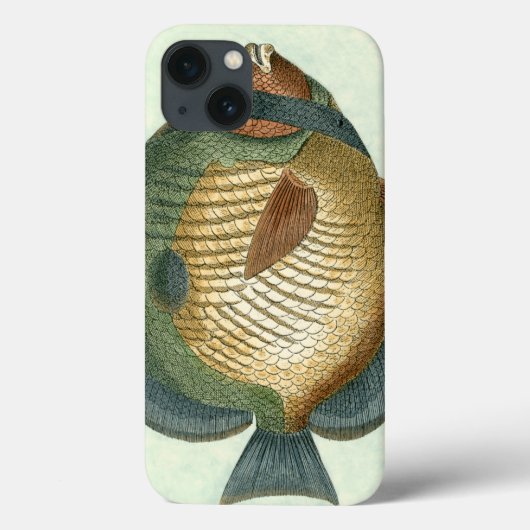 大カラフル魚 Case-Mate iPhoneケース (裏面)