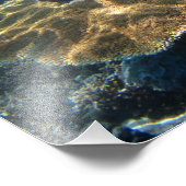 大コーラル フォトプリント            (角)