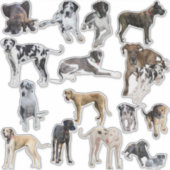 大ダネカスタムスに刻まれたビニールのシール シール (正面)