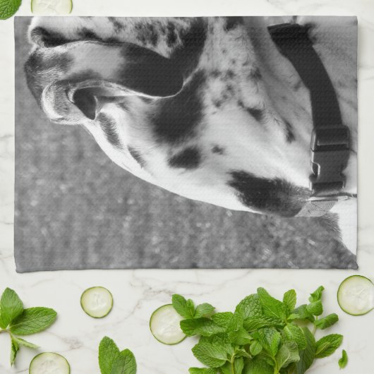 大デイン キッチンタオル (折り畳み)