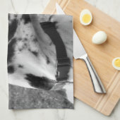 大デイン キッチンタオル (四つ折り)