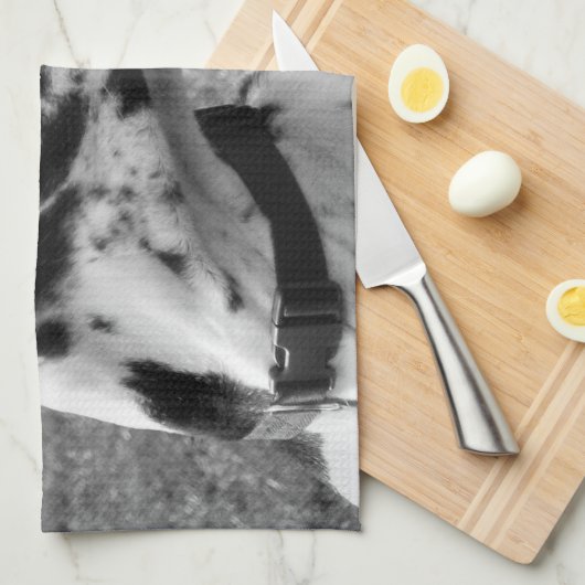 大デイン キッチンタオル (四つ折り)