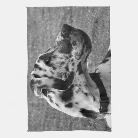 大デイン キッチンタオル (縦)