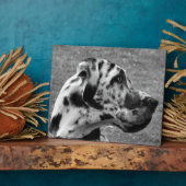 大デイン フォトプラーク (側面)