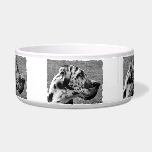 大デイン ボウル (正面)