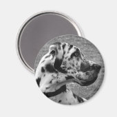 大デイン マグネット (正面/裏面)