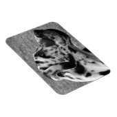 大デイン マグネット (右側)