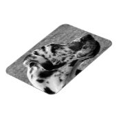 大デイン マグネット (左側)