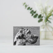 大デイン 名刺 (スタンド正面)