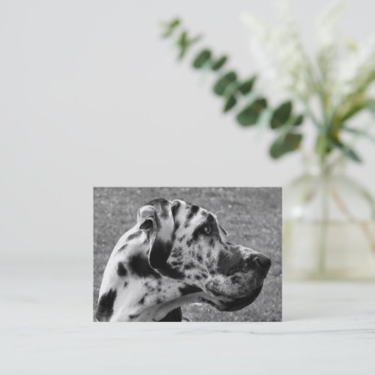 大デイン 名刺 (スタンド正面)