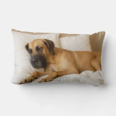 大デネランバー枕 ランバークッション (裏面)