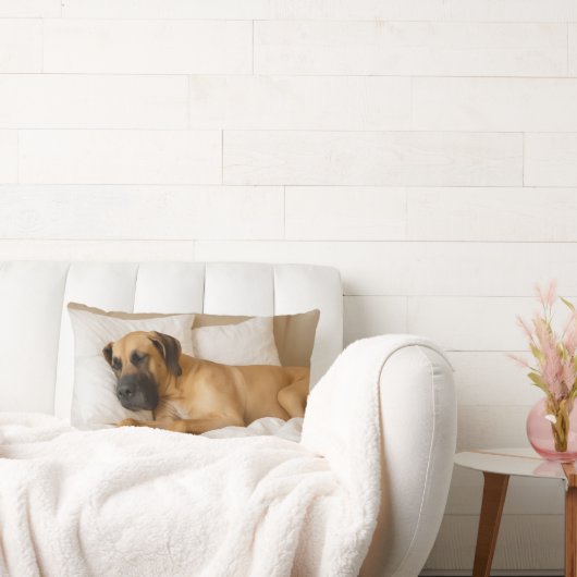 大デネランバー枕 ランバークッション (ソファ)