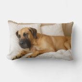 大デネランバー枕 ランバークッション (正面)