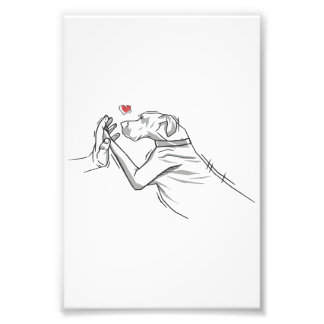 大デーン犬 フォトプリント           