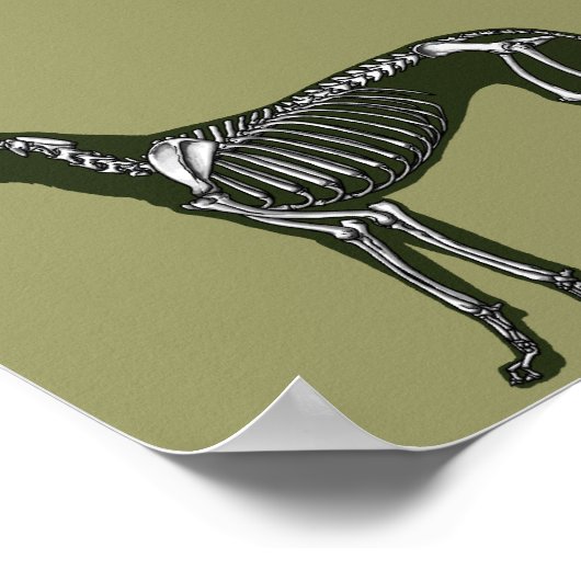 大デーン骨格 ポスター (角)