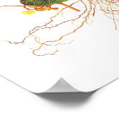 大トロパエオラム ポスター (角)