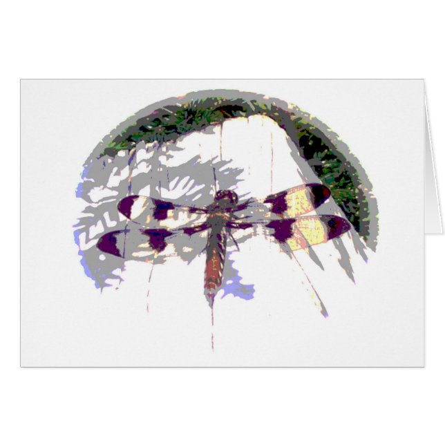 大トンボ (正面横)