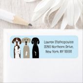 大ドーン犬 ラベル (インサイチュ)