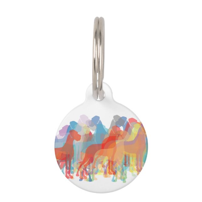 大ファンシーデンマーク ペット　ネームタグ (正面)