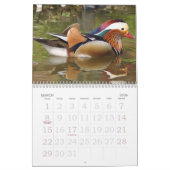 大プリントカレンダー2023 – 鳥 カレンダー (3月 2026)