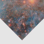 大マゼラン雲 薄葉紙 (詳細)