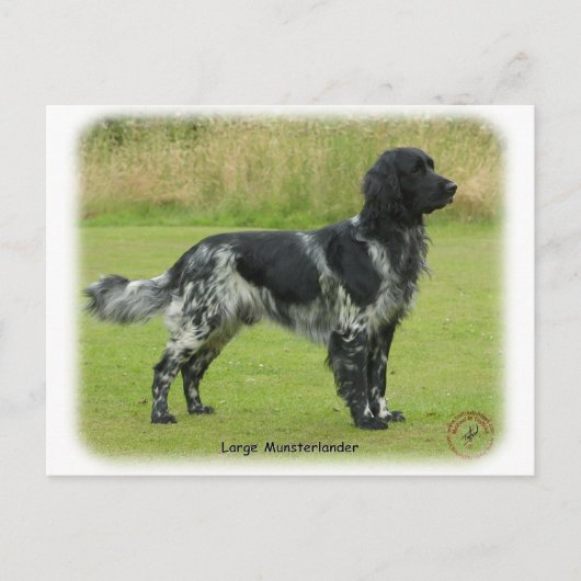 大ムンスターランダー ポストカード (正面)