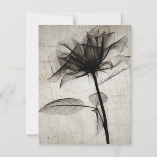 大ヴィンテージX線花 ノートカード (正面)