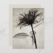 大ヴィンテージX線花 ノートカード (正面/裏面)