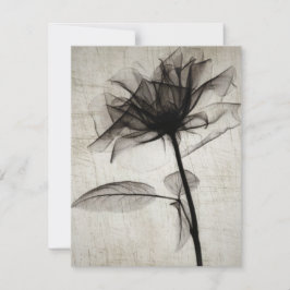 大ヴィンテージX線花 ノートカード