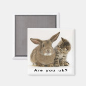 大丈夫か？ マグネット (正面/裏面)