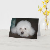 大丈夫、犬のカード カード (黄色い花)