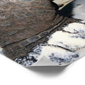 大亀のポスター ポスター (角)