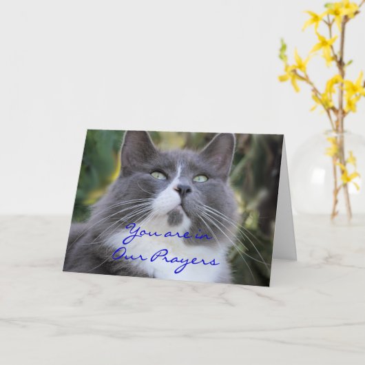 大事な行事のための猫の祈りの言葉のカード変更 カード (黄色い花)